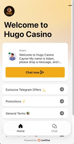 Hugo Casino Support